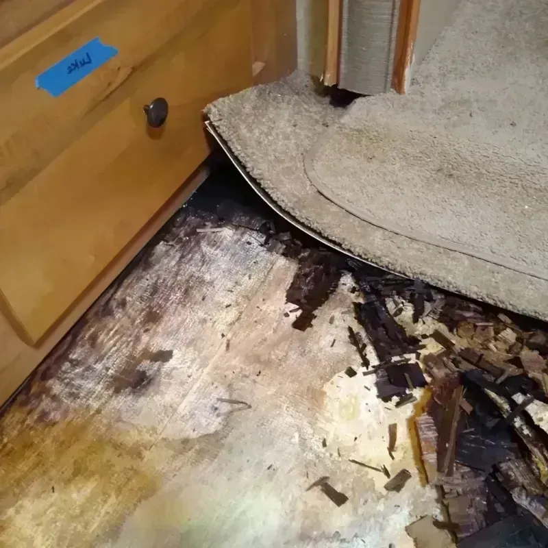 Wood Floor Water Damage in Highlands, NJ